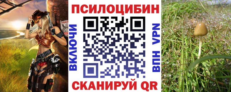 Галлюциногенные грибы Magic Shrooms  гидра зеркало  Мураши 