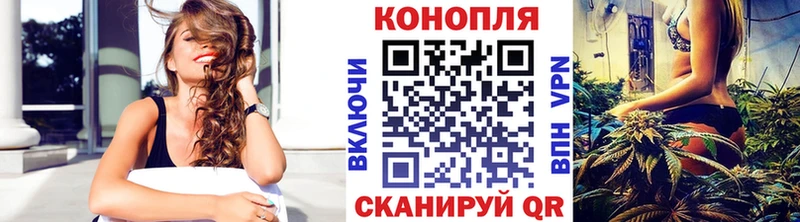 Конопля Bruce Banner  Мураши 